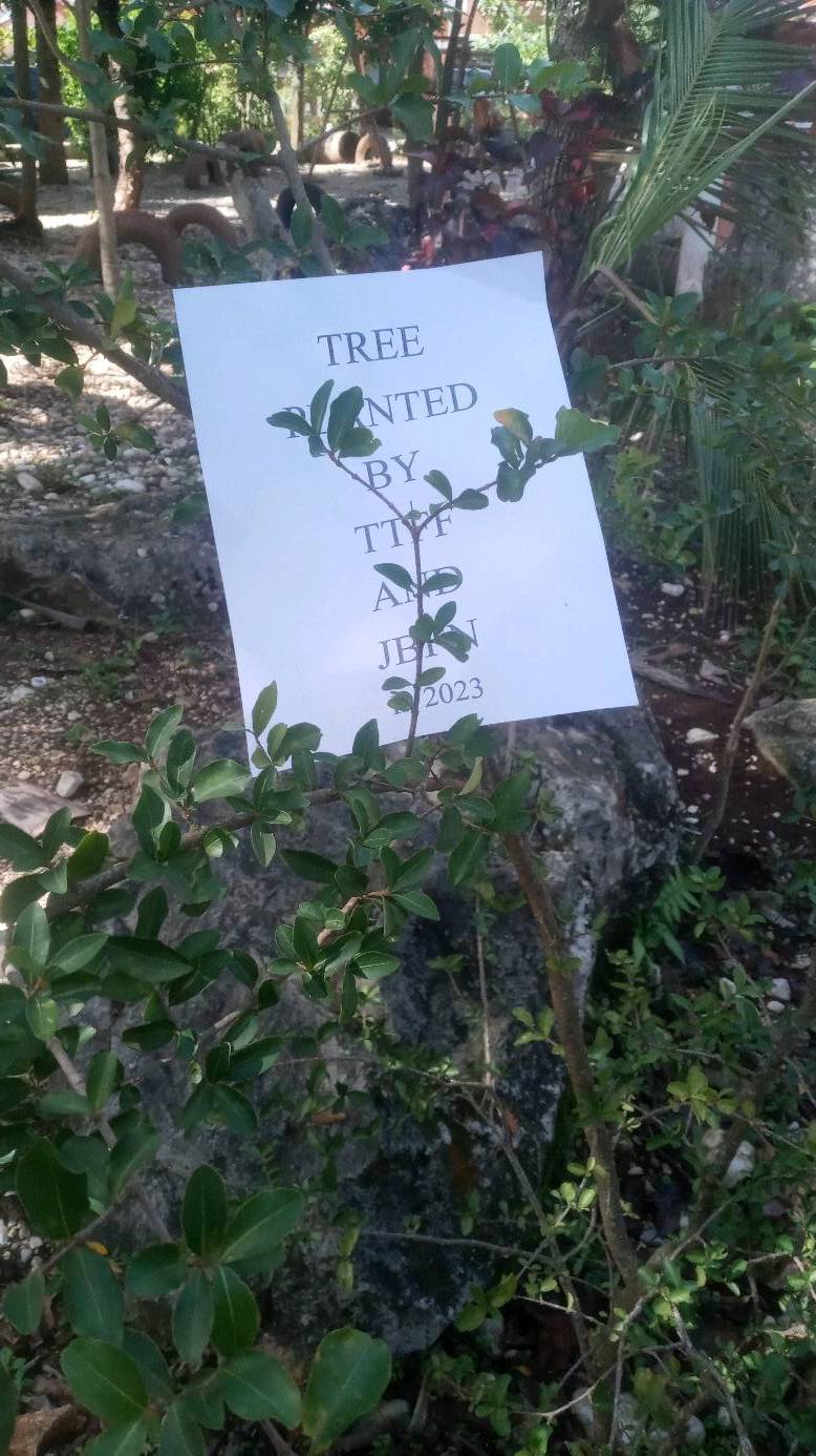 tree
