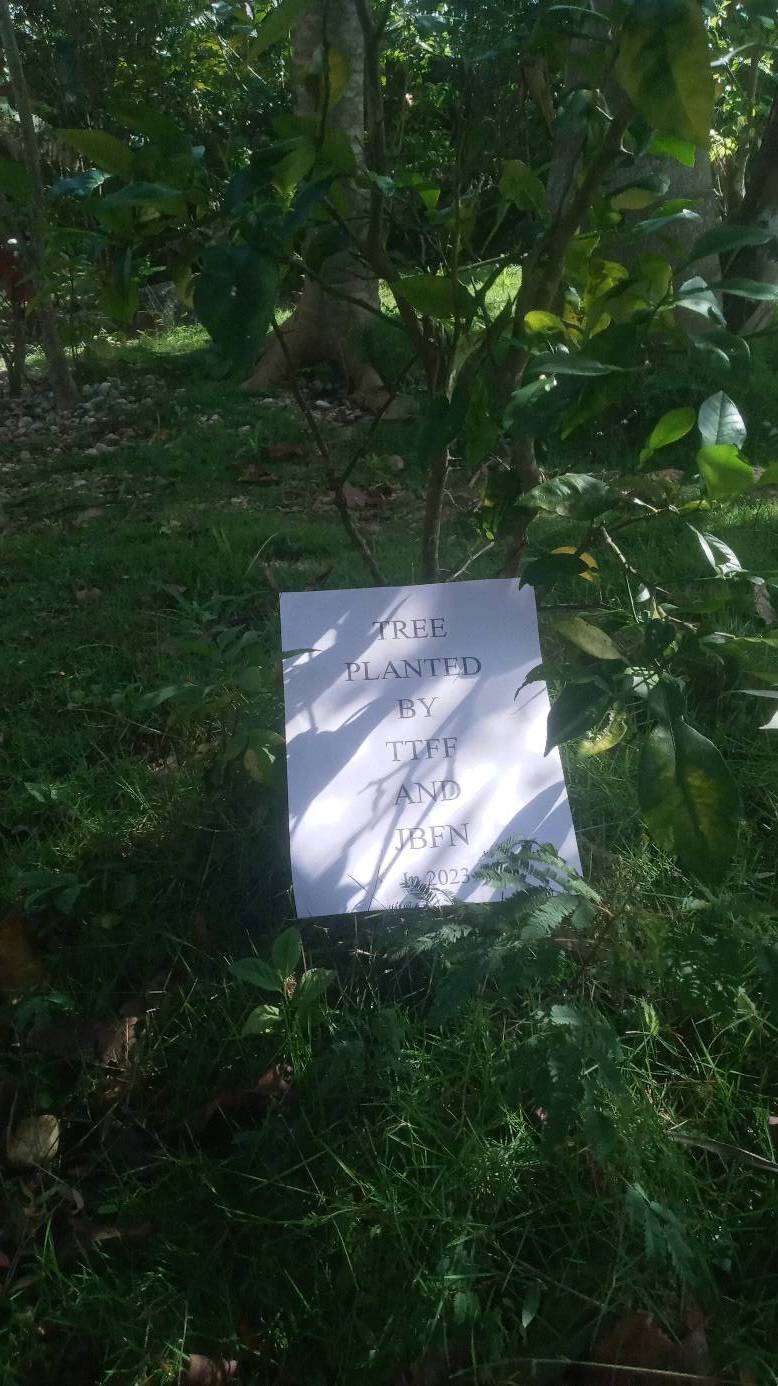 tree