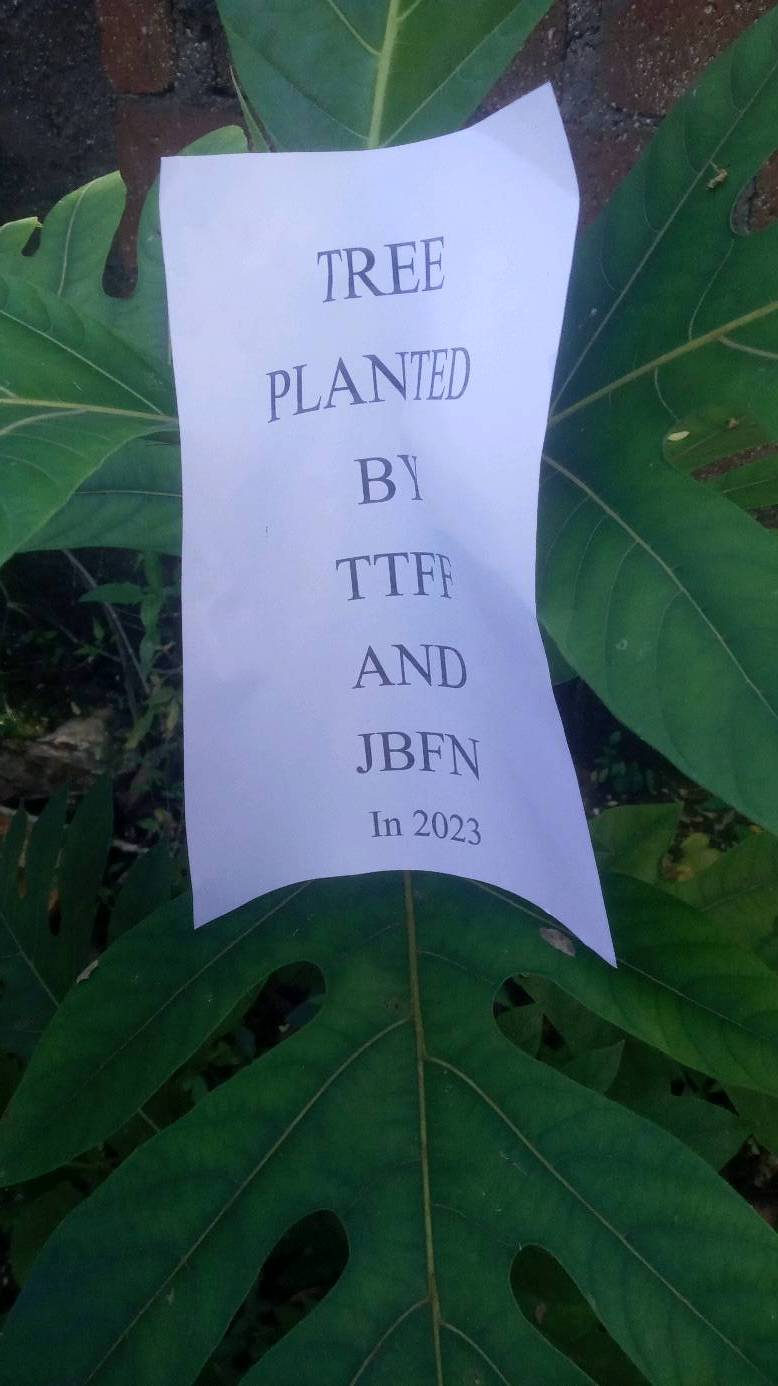 tree